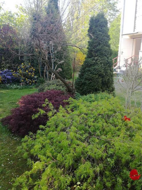 Apartmán Hradiska Jablonné nad Orlicí Exteriér fotografie